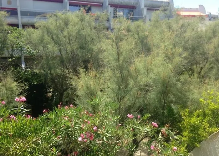 Apartment Vittoria Immobilier 12 -reglement Sur Place - Cheques Acceptes *